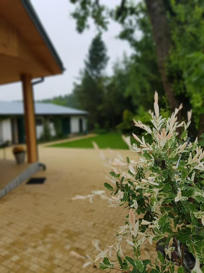 Willa Kosiedlisko Kraśnik Zewnętrze zdjęcie