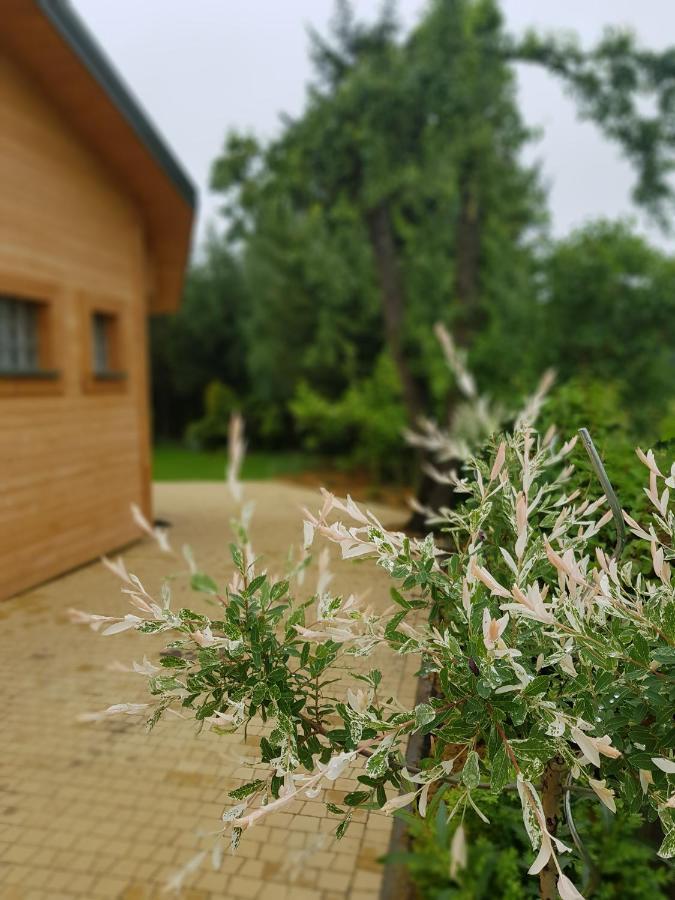 Willa Kosiedlisko Kraśnik Zewnętrze zdjęcie